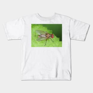 Muscidae fly - insect macro Kids T-Shirt